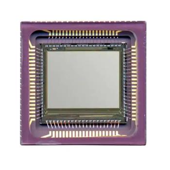 CYII5SM1300AB-QWC Product Pictures